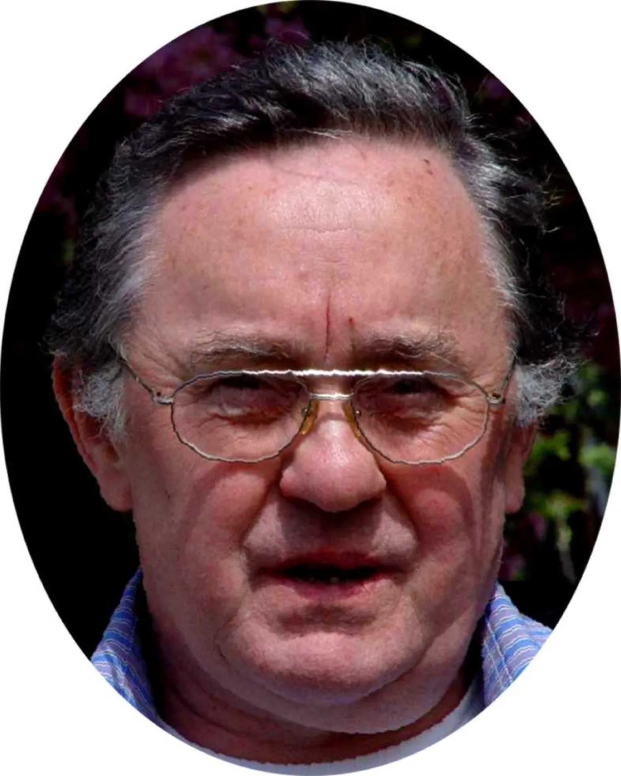 Ovales Porträt von D. Harald Alke: älterer Mann mit grauem, zurückgekämmtem Haar, Metallbrille und blau kariertem Hemd vor dunklem, grün-violettem Laubhintergrund.