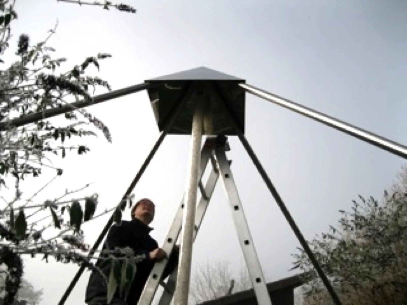 Blick von unten in eine große offene Metallpyramide mit dunklem Spitzenblech; eine Person mit Mütze steht neben einer Aluminiumleiter, die am Mittelpfosten lehnt. Links ragen kahle Zweige ins Bild, der Himmel ist grau.