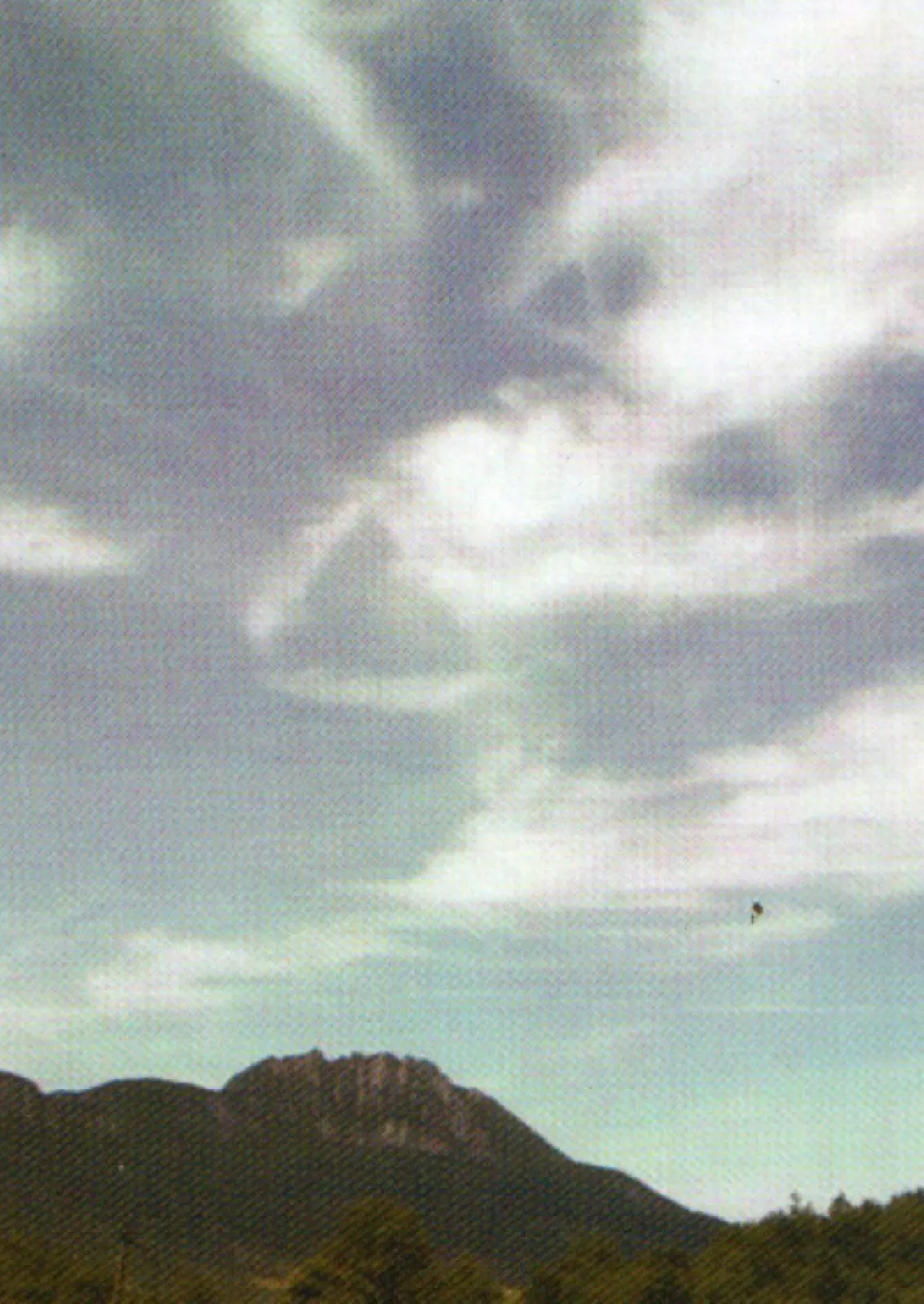 Himmel mit ausgedehnten weißen Schleierwolken über einer dunklen Bergkuppe mit Felsgrat; rechts unten ist ein kleiner dunkler Punkt am Himmel zu sehen, im Vordergrund Baumkronen.