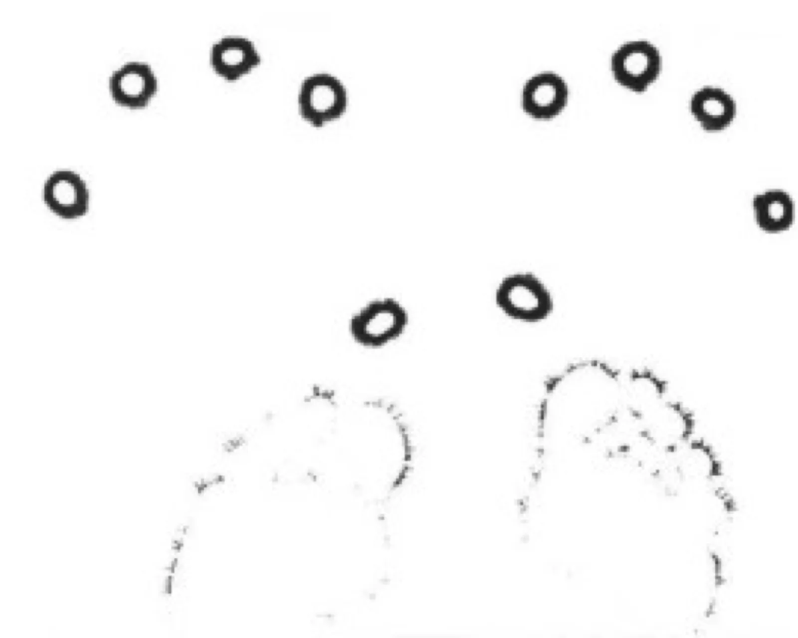 Schwarz-weiße Kirlianaufnahme zweier Handabdrücke: oben je fünf ringförmige Fingerkuppenabdrücke im Bogen, darunter die schwach punktierten Umrisse beider Handflächen.
