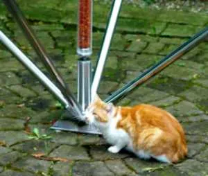 Ein rot-weißer Kater schmiegt sich an den Fuß einer Energiepyramide Modell D auf Kopfsteinpflaster