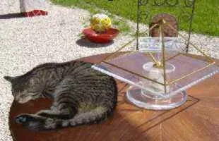Ein Kater liegt dicht an einer Energiepyramide Modell A