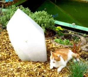 Kater Felix am großen Bergkristall