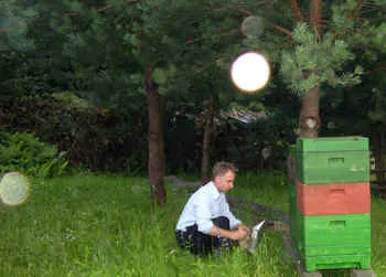 Ein Mann hockt neben Bienenstöcken in einem Garten; in der Luft mehrere blasse runde Lichtflecke (Orbs)