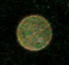 Runder, grünlich-durchscheinender Lichtfleck (Orb) mit zellartiger Struktur auf dunklem Grund
