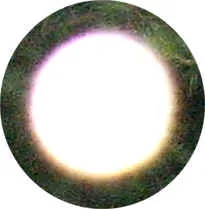 Heller, rund leuchtender Lichtfleck (Orb) mit farbigem Rand vor dunkelgrünem Hintergrund